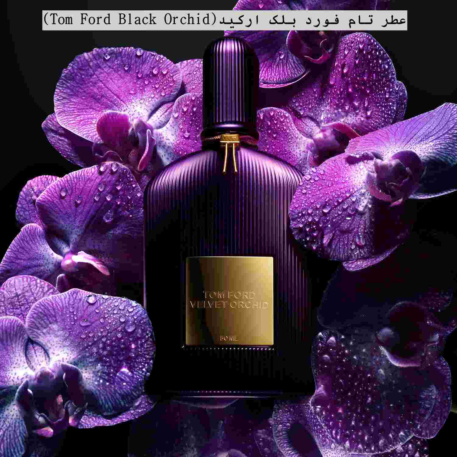  عطر تام فورد بلک ارکید(Tom Ford Black Orchid)